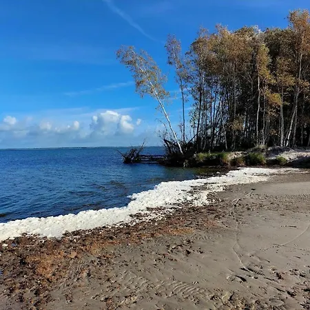 Luxus Reetdachhaus In Mit Sauna